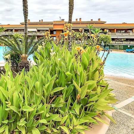 拉克鲁斯Piscinas Del Teide公寓 外观 照片